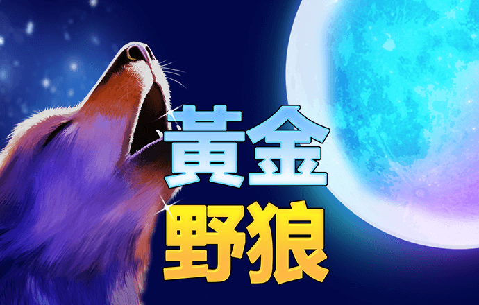 中欧体育kok官方网站入口